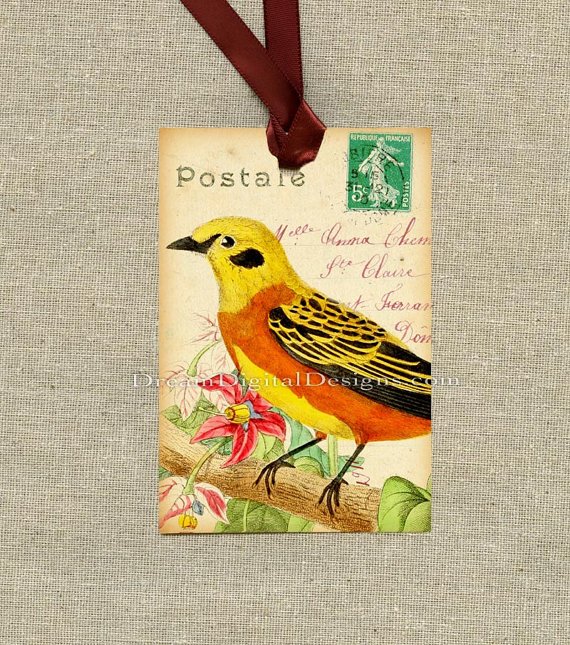 Printable Tag, Bird Gift Tag, Postcard Background, Digital Clip Art