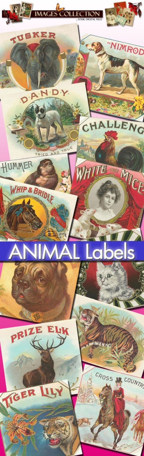 214 Animals: rabbit bunny dog cats horses mammals pets birds