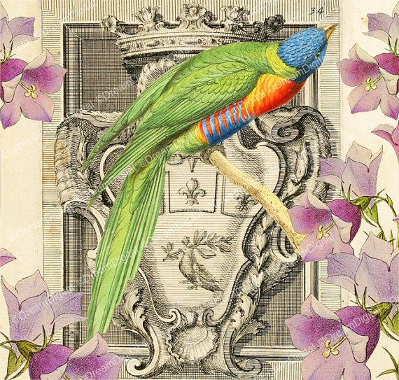 Colorful Bird Printable Image, Digital Background, Vintage Illustration