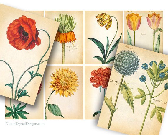 Botanical Aged Paper, Floral, Collage Sheet, Tags, Labels, Printable Gift Tags