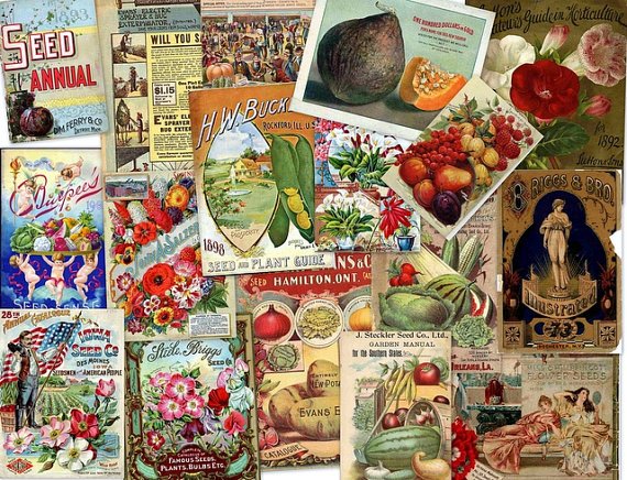 DVD Old Flowers Fruit Seed Feed ADVERTISING CATALOG Images eBooks Photos Illus