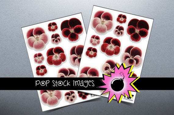 Pretty Pansy Digital print Sticker Sheet-print StickersingAltered ArtCards