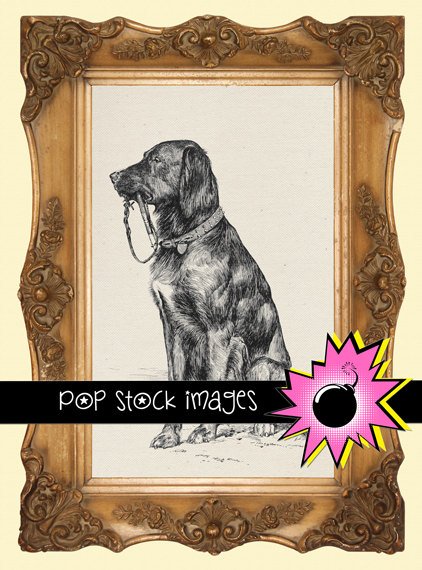 Dog Digital Image Transfer-Man's Best Friend-Dog print for TotesLinens Shirts print Dog Leash