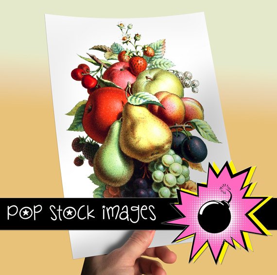Vintage Fruit Bouquet Large Digital Scrapbooking Image Fruit Digital Image