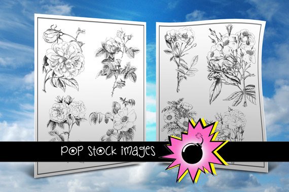 Digital Stamps-Set of 16-Roses Digital Stamps-Rose Illustrations-Print