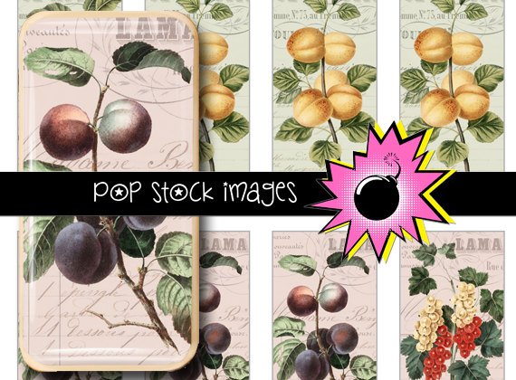 French Invoices Fruit Digital Domino Collage Sheet-print Tiles for Pendants