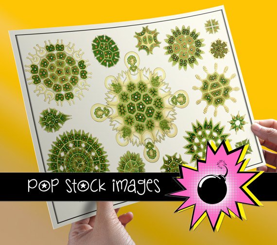 Grn Abstract Geometic Ornaments Collage Sheet-Set of Digital Graphics of GrnYW ,Org Designs