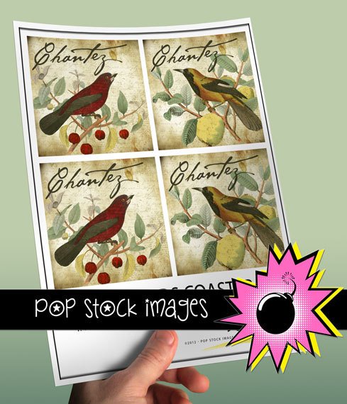 French Birds Script-3.8' square Digital Img. Coasters-Includes Img.Supply List