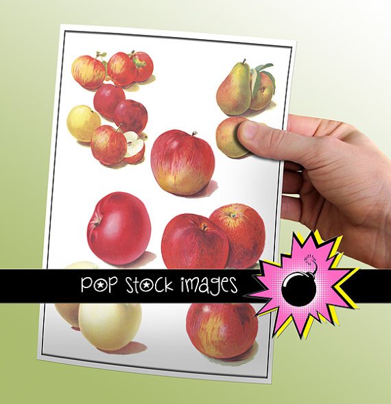 Digital vintage print