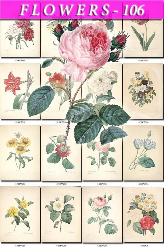 FLOWERS-106 297 vintage print