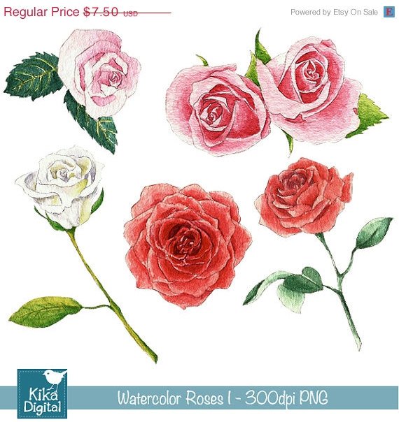 Watercolor Roses I Clipart - H, Painted, card design, watercolor, h, drawn
