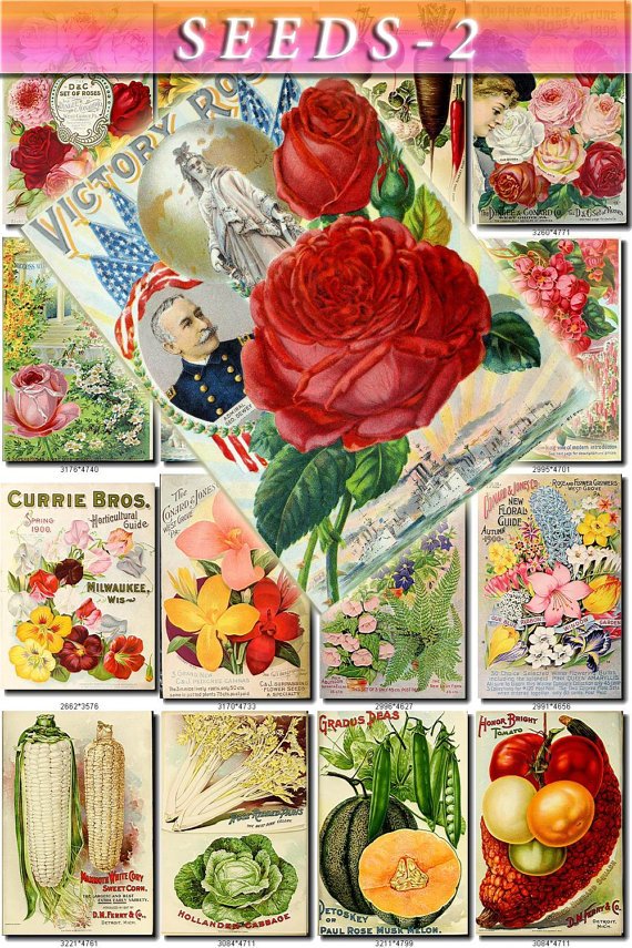 SEEDS-2 Catalogs Covers Collection with 74 vintage print