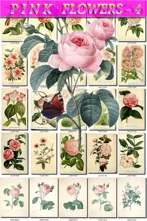 PINK-4 FLOWERS 240 vintage print