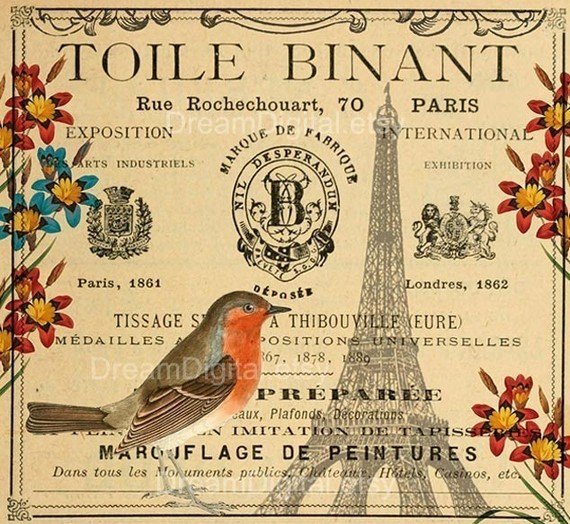 Printable Paris Decor, Bird Illustration, Digital Paper, French Ephemera