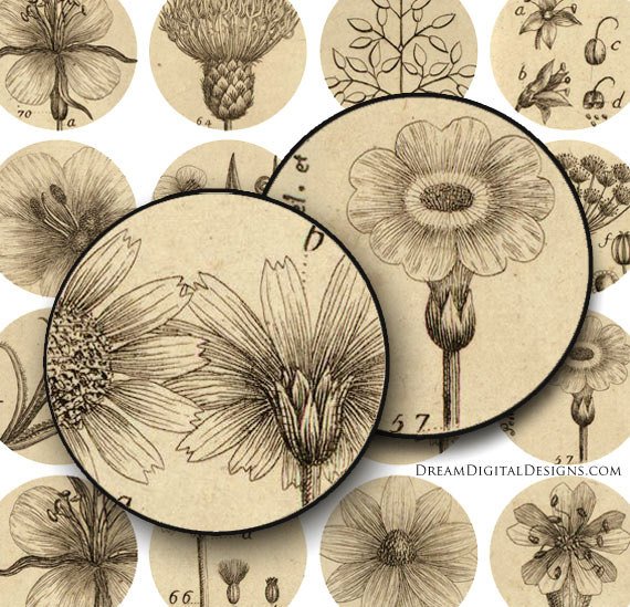 Botanical 1 inch Circles, Collage Sheet, Vintage Floral, Digital Botanical
