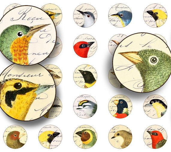 Printable 1 inch Circles, Birds, Digital Collage, Circles, Digital Scrapbook