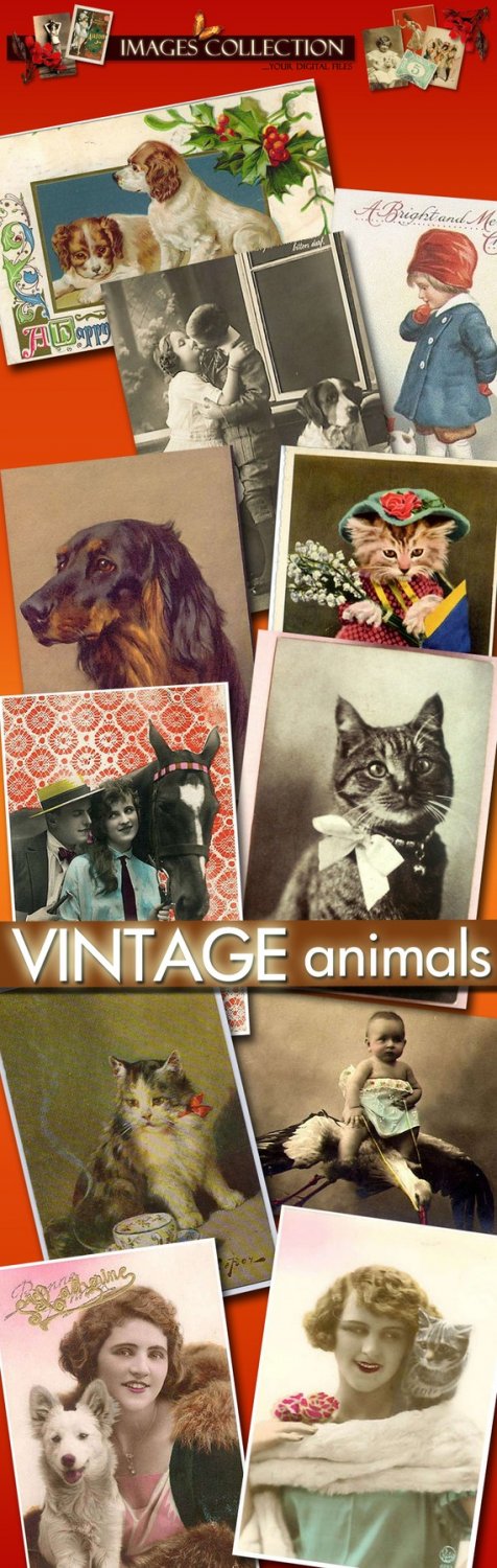 Digital images 780 vintage print