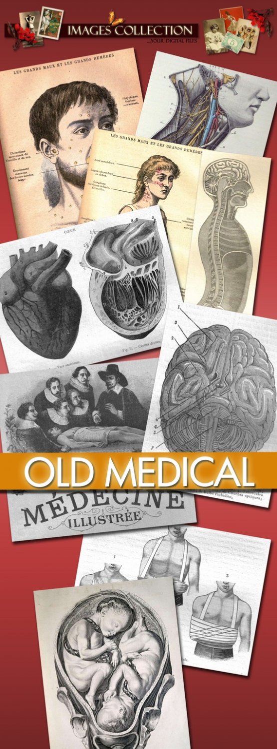 Digital Img. Old Medical Illustration anatomical