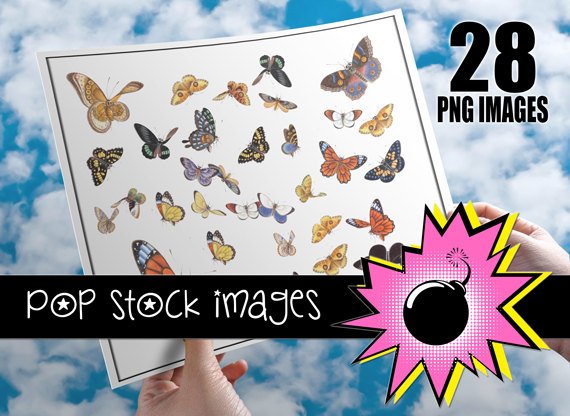 BUTTERFLY Digital Img.-Set of Digital Graphics of Butterflies-Butterfly Digital Img.