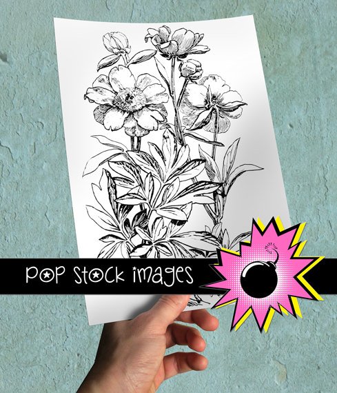 Peony Flowers Digital Image Transfer-Peonies print for TotesLinens Shirts print Peony