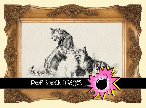Cat Trio Digital Image Transfer-Cats Kittens print for TotesLinens Shirts print Cat Trio