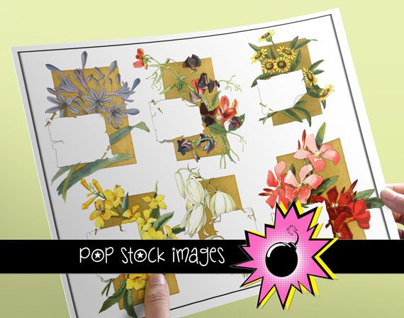 Vintage Floral Notes Img.