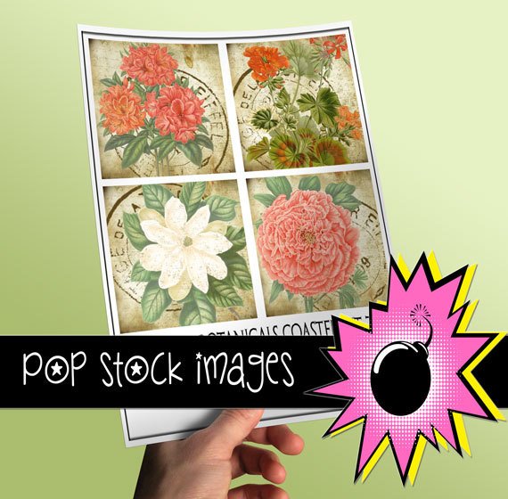 VINTAGE BOTANICALS Coaster Kit Set Two-3.8' Square Digital Img. Coasters-Img.Supply List