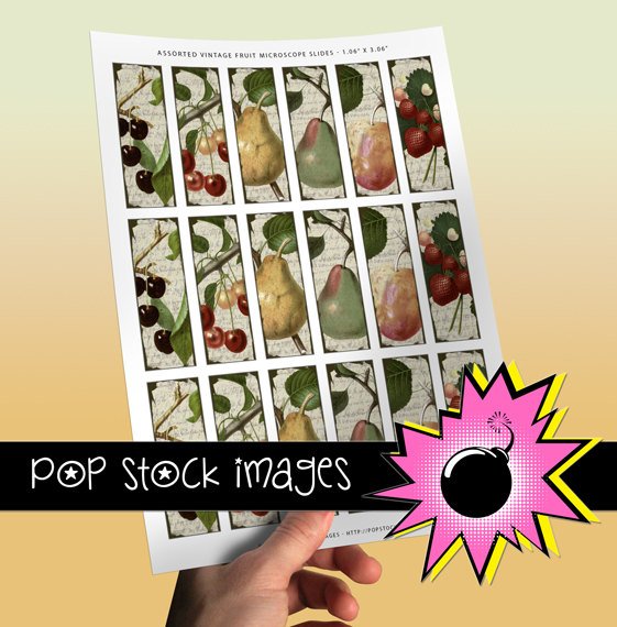VINTAGE FRUIT-1x3 Inch Microscope Slide Collage Sheet-Glass Slide Pendants-Scrapbooking-