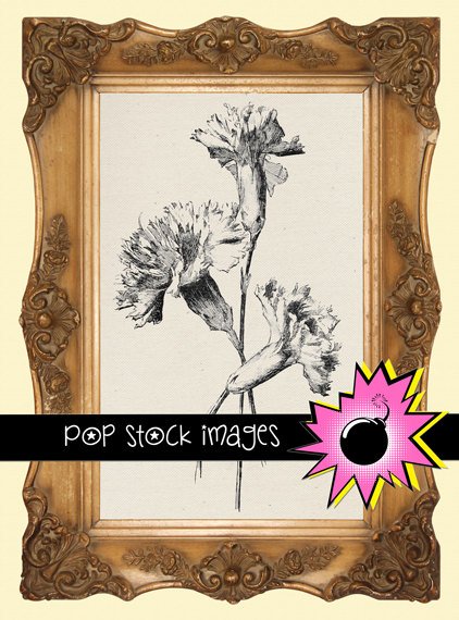 Carnation Trio Digital Image Transfer-Carnations print for TotesLinens Shirts print Carnations