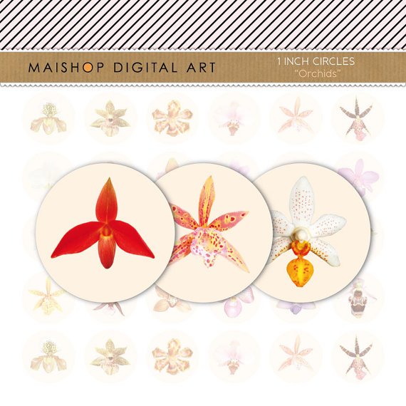1' Collage Sheet Circles-Orchids Flowers-Button BadgesKeychains