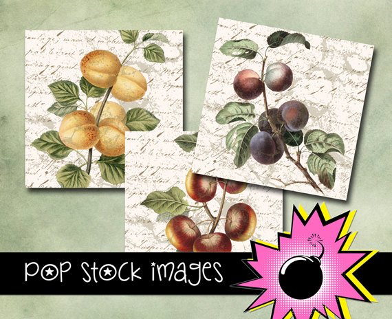 Distressed vintage print