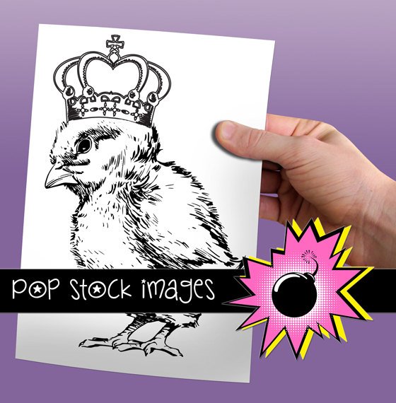 Baby Chick with Crown-Chicken King Digital Image Transfer-Digital print Chicken Crown print