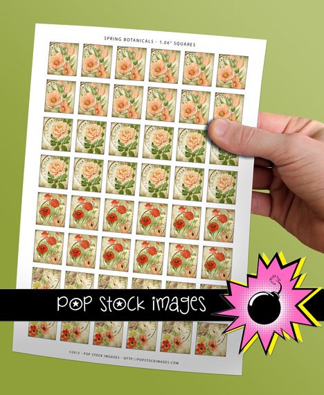 1 Inch Squares Paris Floral Collage Sheet-print for PendantsMagnets