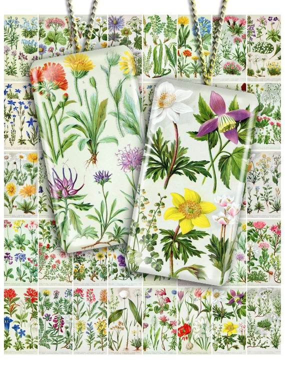 Collage FLOWERS-01 vintage print