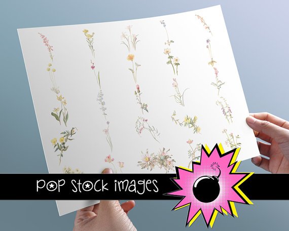 Watercolor Floral Image Collection Volume 2 - INDIVIDUAL vintage print