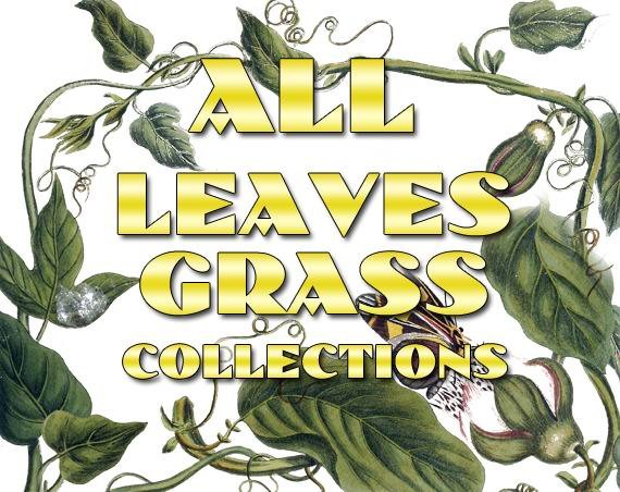 LEAVES GRASS Collections 1-89 with 21 300 vintage print