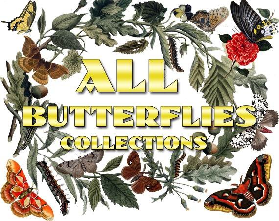 BUTTERFLIES Collections 1-48 with 10600 vintage print