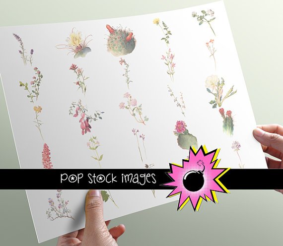 Watercolor Floral Image Collection - INDIVIDUAL vintage print