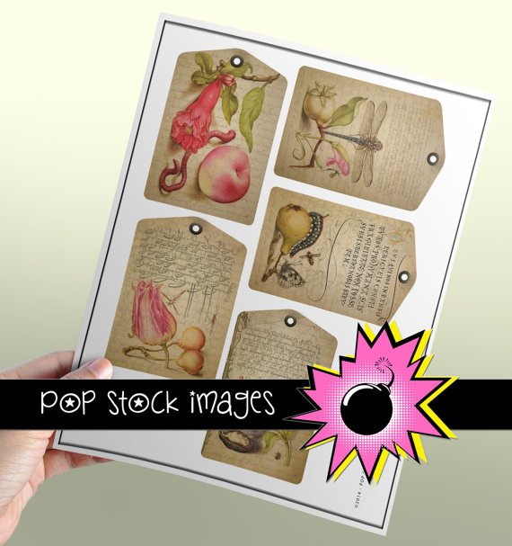 Floral & Fruit Gift Tag Digital Collage Sheet - vintage print