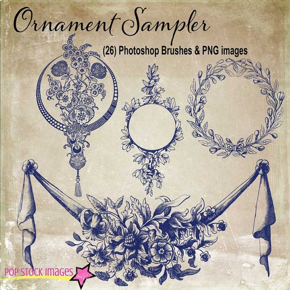 Decorative Frames Ornaments Brushes