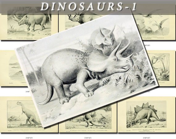 DINOSAURS-1-bw EXTINCT animals 49 black-, -white vintage print