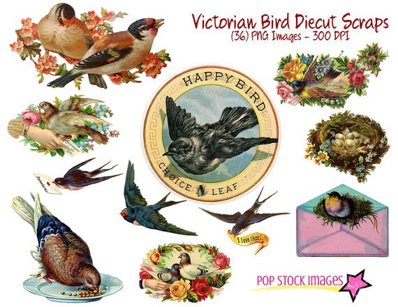 Victorian Diecut Assorted Birds-36 Fancy Diecut Bird Img.-Digital Graphics-Victorian Birds
