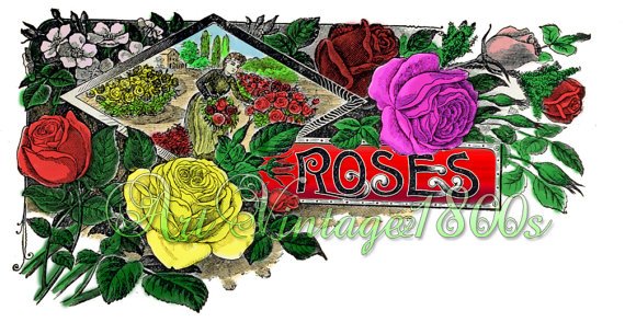 Collage FRAMES-01 Roses Strawberries Gooseberries instant Imges magnet bezel