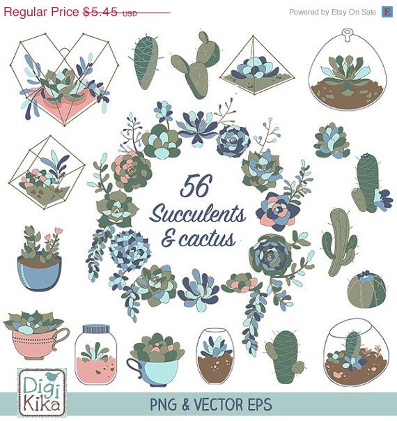 Succulents Clip Art-HDrawn SucculentsCactus Terrarium ClipartWedding Succulents Vector