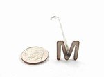 Mini letter M Steak Branding Iron steak brand