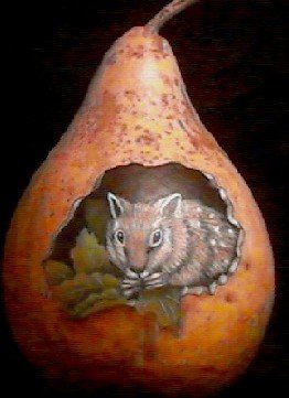 Squirrel in Gourd