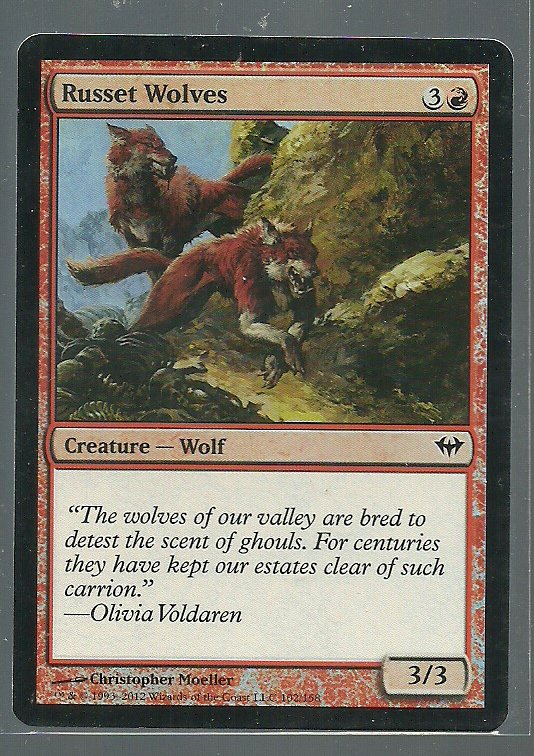 Russet Wolves - NM - Foil - Dark Ascension - Magic the Gathering