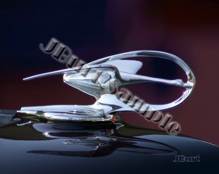 JBURTPHOTOS Original 8x10 Photographic Print - 1935 Studebaker Flying Goose Car Hood Ornament