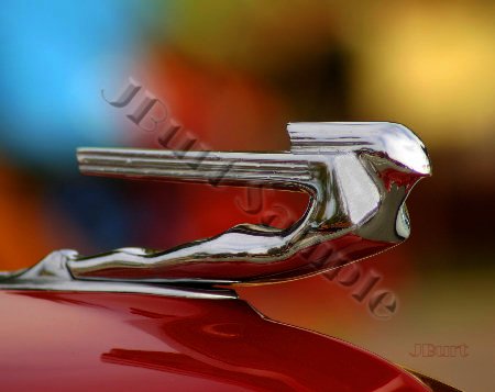 JBURTPHOTOS Original 8x10 Photographic Print - 38 Cadillac Nude Car Hood Ornament