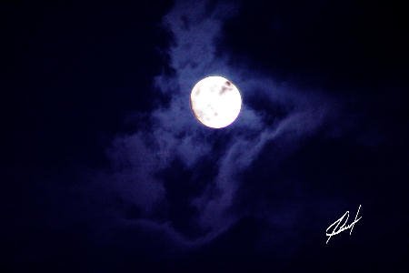 Once in a Blue Moon JBURTPHOTOS Original 8x10 Photographic Print